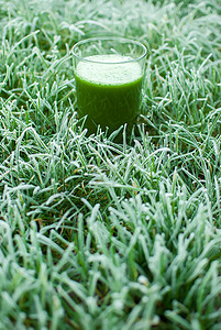 健康绿色脱毒汁营养芹菜饮食食物养分木头奶昔水果菠菜黄瓜图片
