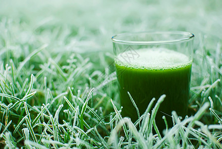 健康绿色脱毒汁叶子饮食营养养分薄荷活力食物菠菜奶昔蔬菜图片