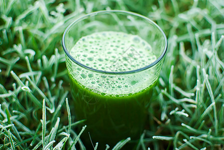 健康绿色脱毒汁薄荷活力菠菜黄瓜养分叶子玻璃奶昔饮料水果图片