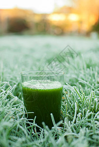 健康绿色脱毒汁水果饮料活力蔬菜食物养分叶子薄荷芹菜饮食图片