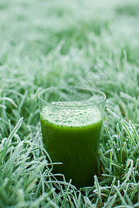 健康绿色脱毒汁食物水果木头活力薄荷饮食奶昔饮料养分黄瓜图片
