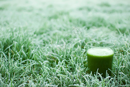 健康绿色脱毒汁饮食奶昔菠菜食物叶子芹菜水果蔬菜饮料薄荷图片