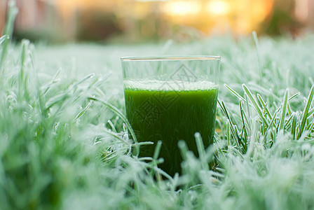 健康绿色脱毒汁叶子奶昔玻璃黄瓜水果菠菜活力蔬菜木头芹菜图片