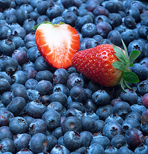 新鲜采出带草莓的蓝莓采摘浆果覆盆子农业蓝色圆形水果食物图片