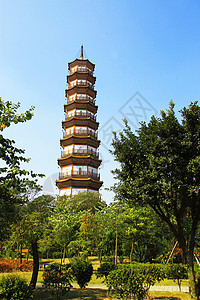 6个班尼扬树寺庙花塔城市景观宝塔佛教徒风景寺庙旅游框架历史蓝色图片