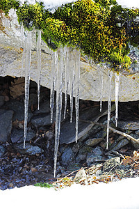 森林中石头上挂着的冻冰棒冰柱季节水晶白色冻结天气植物绿色岩石苔藓图片