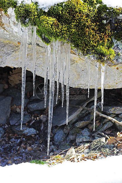 森林中石头上挂着的冻冰棒冰柱季节水晶白色冻结天气植物绿色岩石苔藓图片