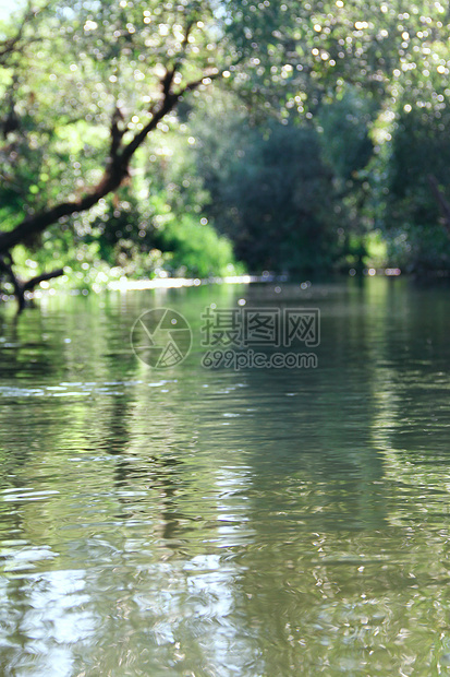 森林河现场林地岩石风景地平线墙纸自然叶子石头流动沼泽图片