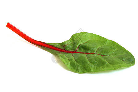 白色的马金色沙拉矿物营养农业菠菜收成蔬菜植物叶子生物午餐图片