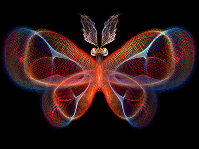 数字蝴蝶昆虫眼睛数学几何学触角装饰品创造力动物昆虫学传播图片