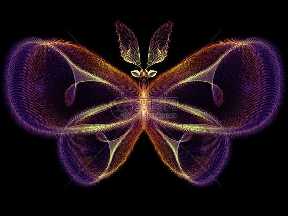 蝴蝶魔法翅膀奉承科学森林生物学元素航班昆虫学眼睛创造力图片