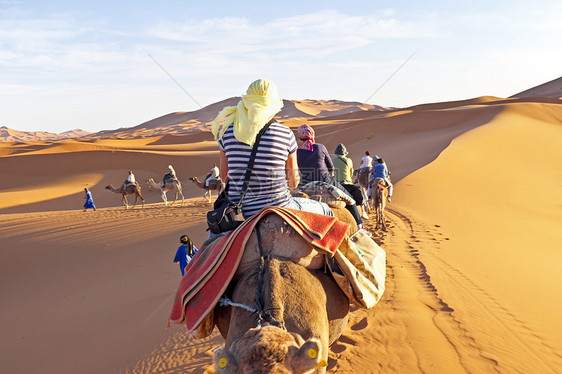 骆驼大篷车穿过撒哈拉沙漠的沙丘单峰太阳动物男人脚趾旅游哺乳动物孤独寂寞沙漠图片