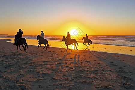 日落时马在海滩骑马马背牧场主骑士尾巴太阳自由男人闲暇海岸野生动物图片