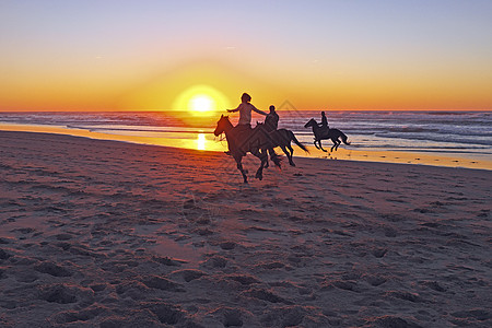 日落时马在海滩骑马牛仔男人太阳旅行野生动物反射运动尾巴假期骑术图片