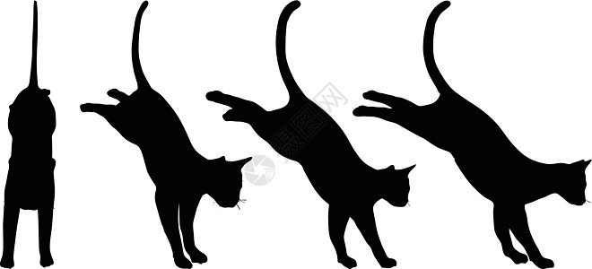 猫集合矢量 silhouett艺术男性绘画白色夹子团体剪影收藏冒充动物图片