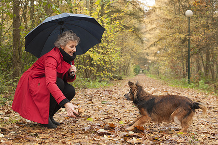 玩狗狗游戏夹克闲暇犬类叶子雨衣哺乳动物宠物女士幸福侯爵图片