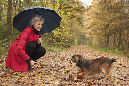 带着雨伞的女人和她的狗玩图片