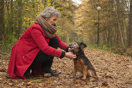 阿格尔女人和她的狗幸福侯爵叶子关爱闲暇女士森林哺乳动物退休披风图片