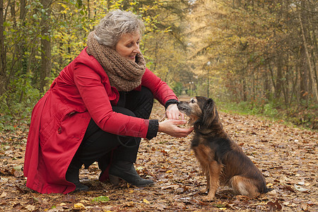 带着宠物在森林里的退休女人图片