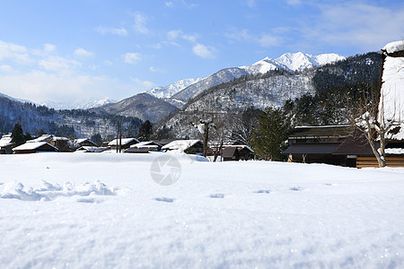 日本吉福白川戈白川房子茅草松树世界遗产遗产农场建筑学住宅村庄图片