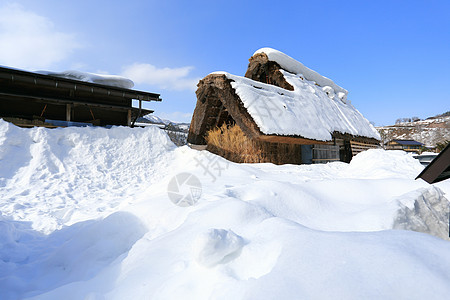 白川去村小屋村庄房子建筑学运河遗产农场松树住宅白川合掌图片