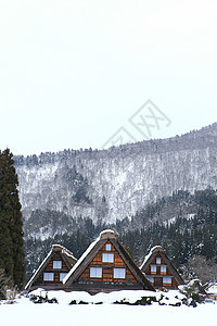 白川去村小屋白川运河建筑学农场建筑合掌地标瀑布茅草松树图片