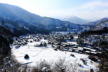 日本白川地村的景点村庄建筑遗产住宅松树历史地标茅草建筑学合掌图片