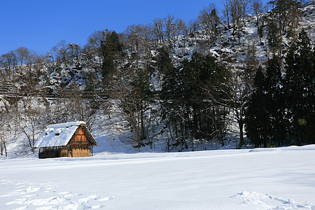 白川去村小屋合掌建筑学建筑村庄白川农场运河瀑布地标茅草图片