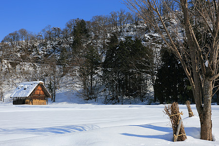 白川去村小屋历史建筑学住宅建筑世界遗产农场运河松树茅草村庄图片