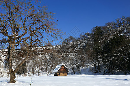 日本吉福白川戈世界遗产建筑学松树合掌运河建筑地标农场历史瀑布图片