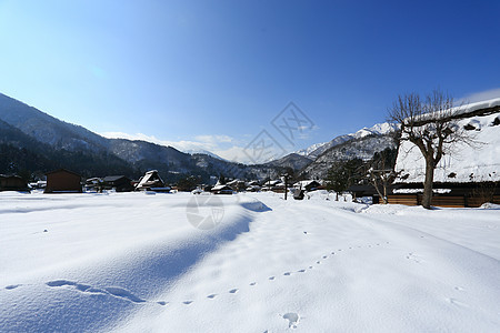 日本吉福白川戈松树房子茅草遗产小屋住宅瀑布运河白川世界遗产图片