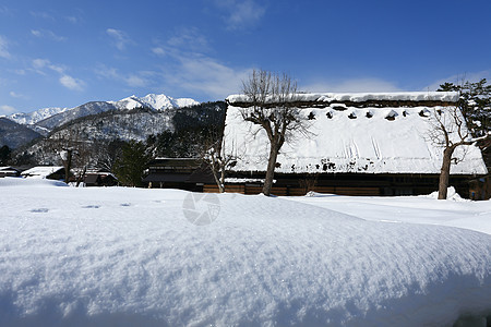 日本吉福白川戈瀑布世界遗产小屋松树村庄合掌农场建筑历史遗产图片