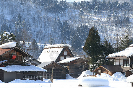 日本吉福白川戈住宅农场建筑学村庄茅草合掌建筑世界遗产历史白川图片