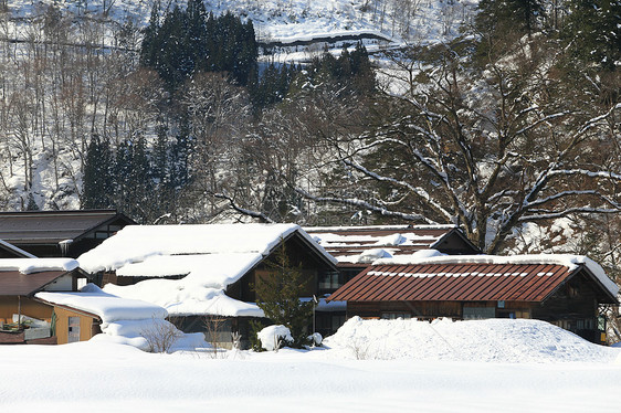 日本吉福白川戈松树运河建筑学住宅茅草房子白川历史建筑农场图片