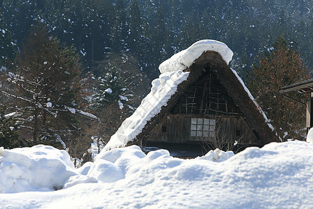 白川去村小屋历史世界遗产白川房子建筑农场瀑布地标运河松树图片