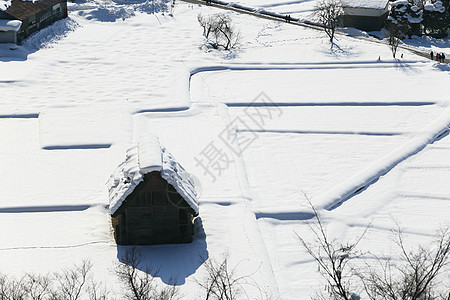 日本白川地村的景点建筑松树白川建筑学世界村庄遗产小屋历史地标图片