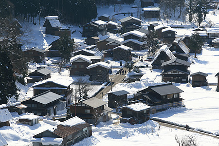 日本白川地村的景点小屋白川房子茅草建筑学建筑松树合掌农场地标图片