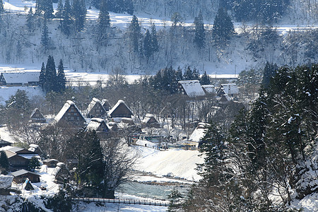 日本白川地村的景点历史房子松树世界地标住宅农场建筑学茅草小屋图片