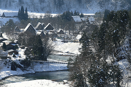 日本白川地村的景点白川合掌建筑学历史地标小屋茅草松树遗产房子图片