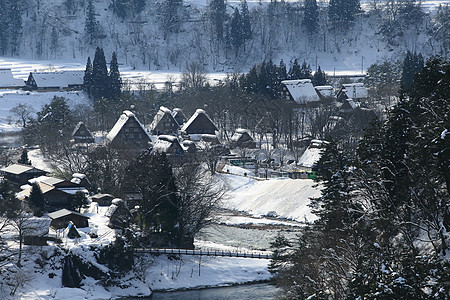 日本白川地村的景点历史遗产松树合掌建筑学农场白川地标建筑小屋图片