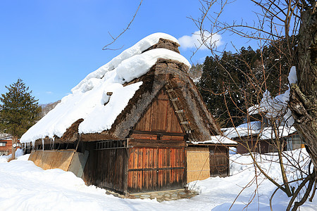 白川去村小屋世界遗产白川运河建筑住宅合掌遗产松树建筑学茅草图片