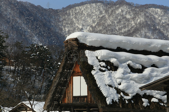 白川去村小屋白川松树历史运河农场遗产村庄地标建筑学世界遗产图片