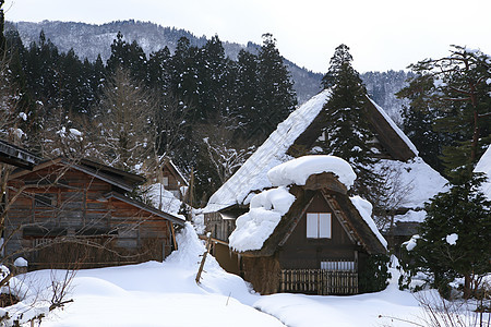 白川去村小屋村庄建筑学瀑布房子松树遗产建筑白川地标住宅图片