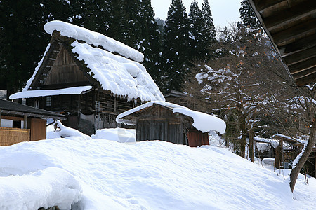 白川去村小屋运河松树地标建筑学建筑历史村庄瀑布白川茅草图片