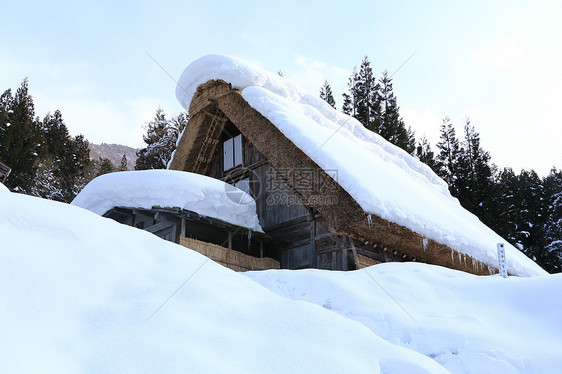 日本吉福白川戈建筑白川松树遗产村庄瀑布农场合掌运河世界遗产图片