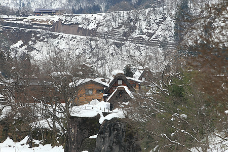 日本白川地村的景点松树白川地标农场小屋村庄遗产世界建筑学建筑图片