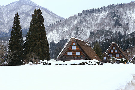 白川去村小屋运河建筑学农场地标住宅松树遗产历史茅草房子图片