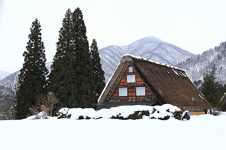 白川去村小屋房子瀑布地标世界遗产建筑茅草松树农场村庄历史图片