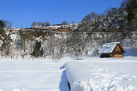 白川去村小屋白川地标瀑布合掌松树住宅房子历史建筑学茅草图片