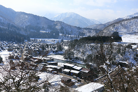 高山视图点的视图遗产地标农场茅草住宅白川松树历史建筑学房子图片